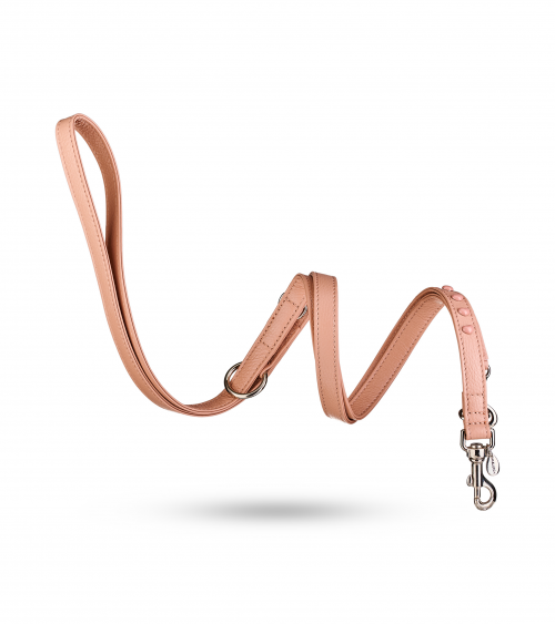 LE BEBE' GUINZAGLIO...