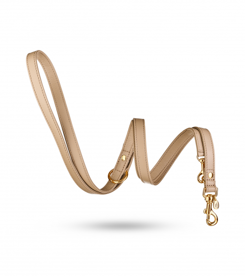 MOVIE GOLD TRAINING LEASH