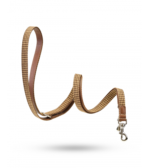 Winter '60 Guinzaglio Training